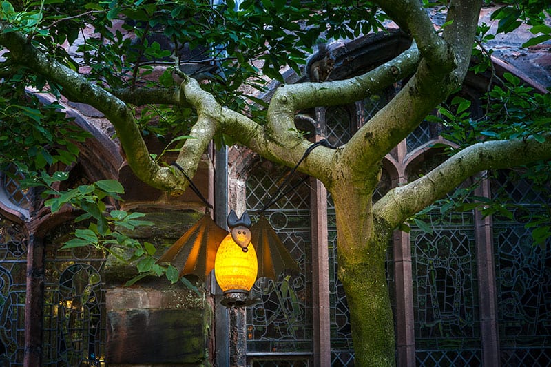VAMPY - Borowski Lichtobjekt Fledermaus im Baum aufgehängt